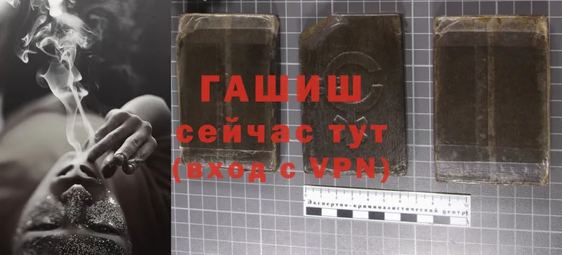 наркотики  Алдан  ГАШИШ индика сатива 