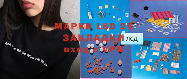 твердый Новозыбков