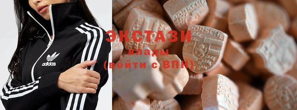 ешки Тайга