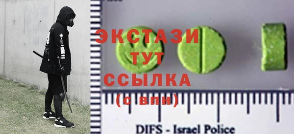 твердый Новозыбков