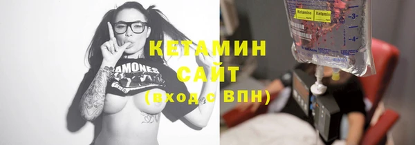 твердый Новозыбков