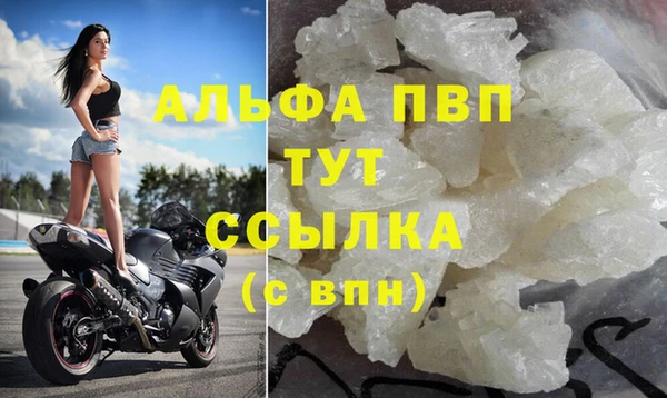 ешки Тайга