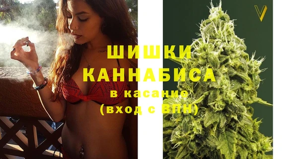 твердый Новозыбков