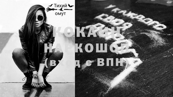 твердый Новозыбков