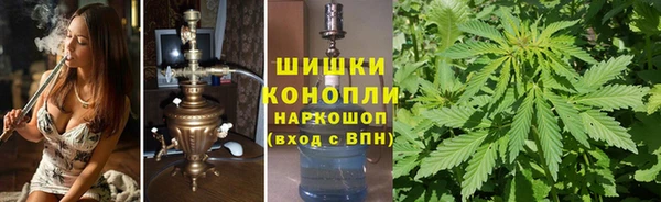 ешки Тайга