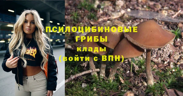 гашиш Сясьстрой