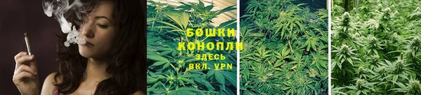 твердый Новозыбков
