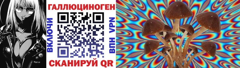 Псилоцибиновые грибы мухоморы  нарко площадка наркотические препараты  Алдан 