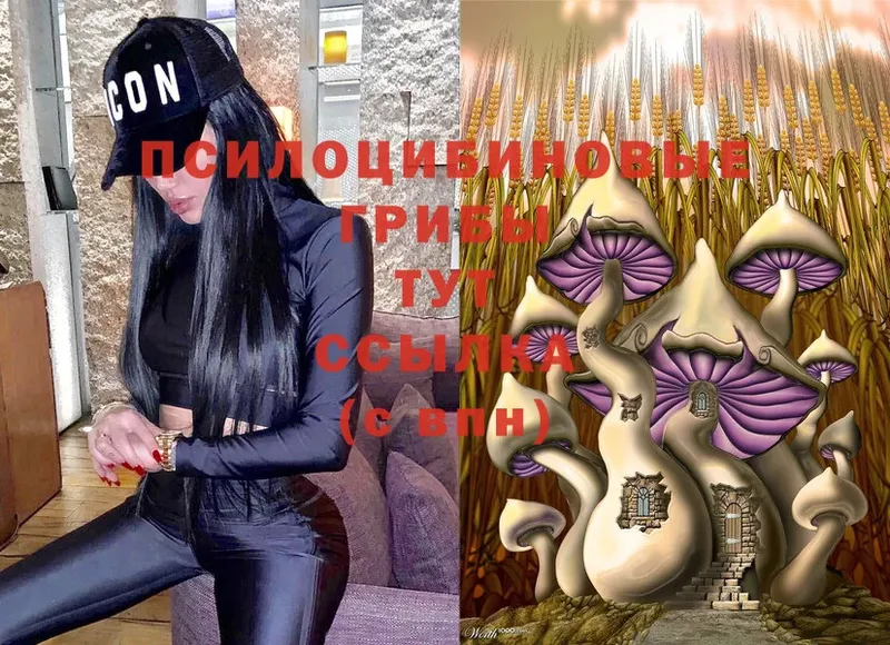 мориарти официальный сайт  купить наркотики цена  Алдан  Псилоцибиновые грибы Psilocybine cubensis 